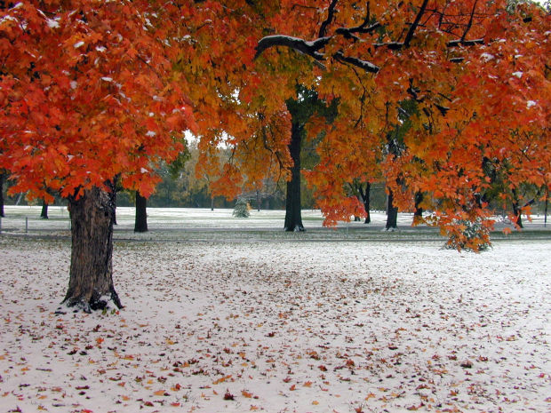Fall snow
